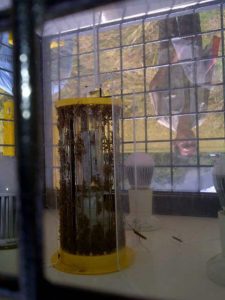 IMG-20160415-WA0006