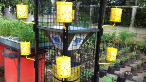 IMG-20160415-WA0019