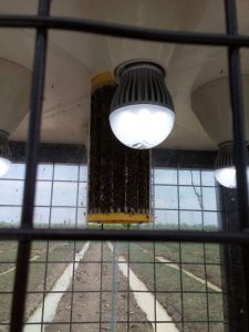 IMG-20160415-WA0024